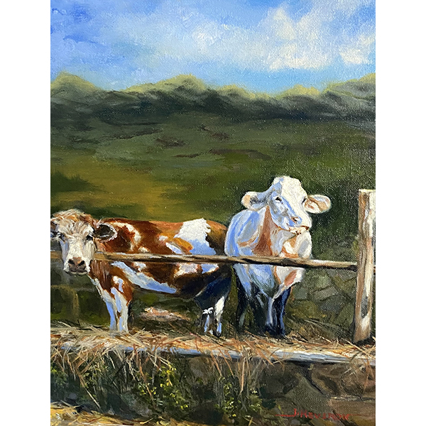 Cows in Italy by Jill Heveron